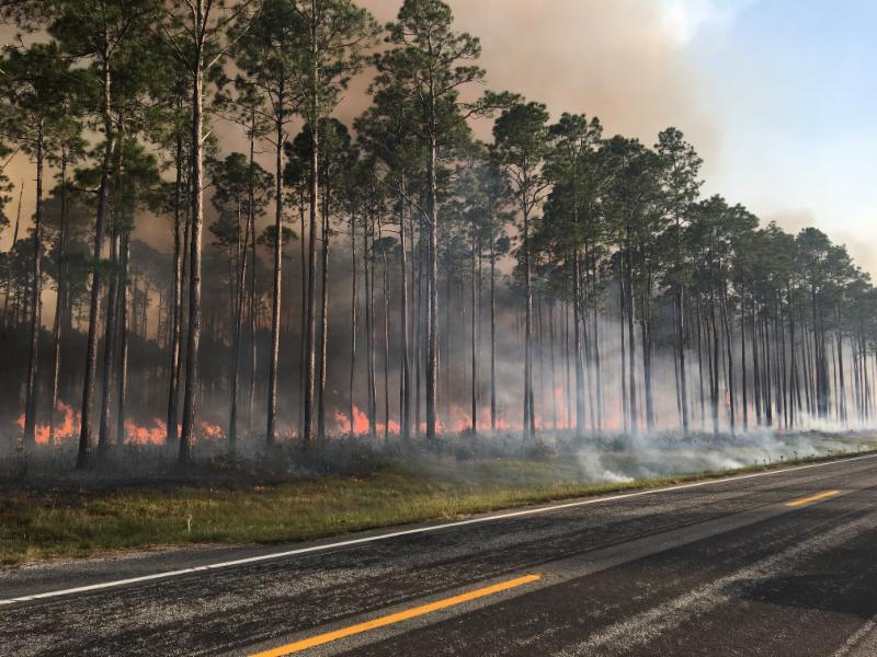 Smoke from large wildfire expected to impact Metro Jacksonville Tuesday